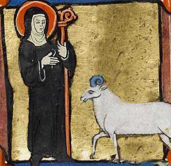 st brigid sheep